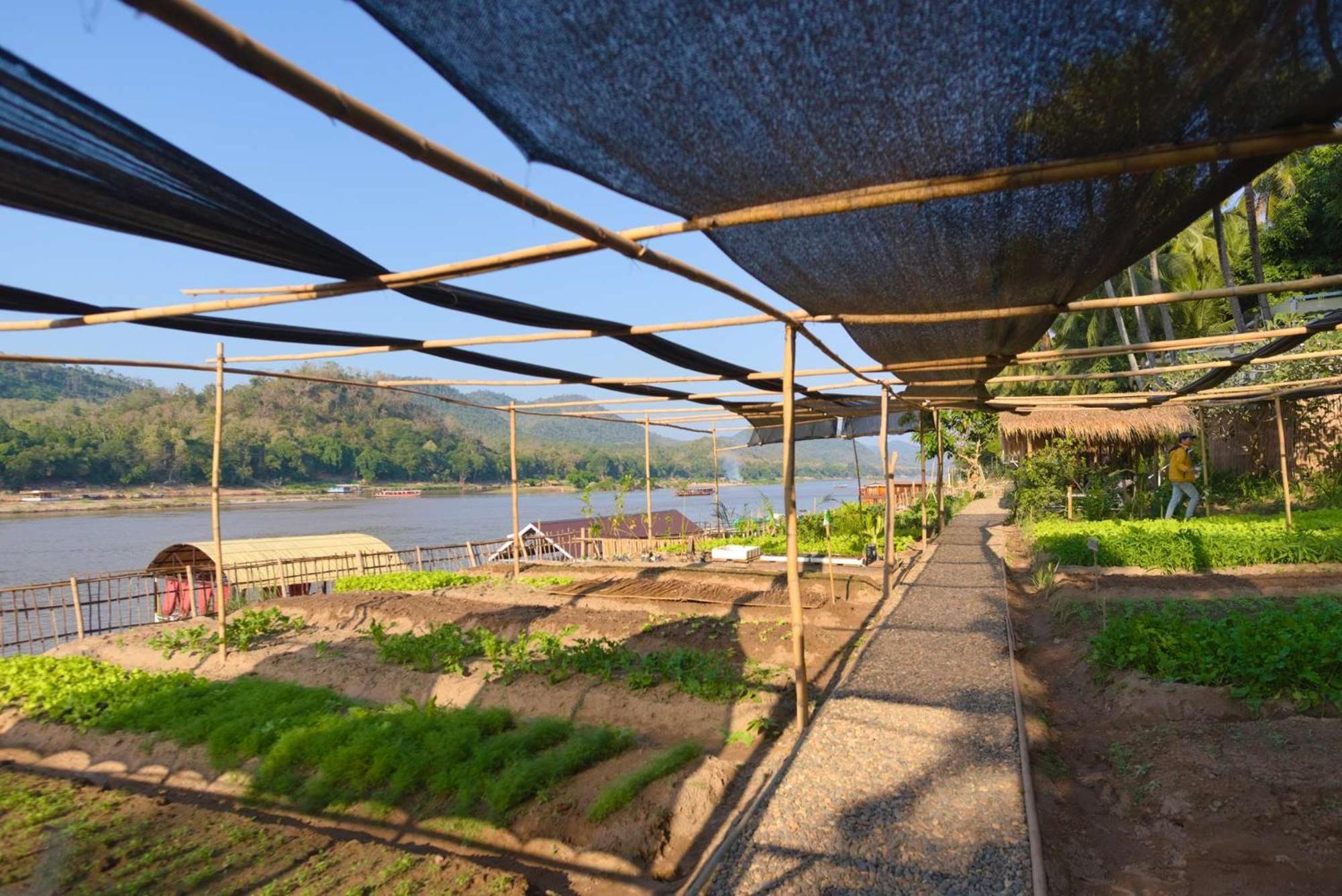 The Belle Rive Boutique Hotel Luang Prabang Buitenkant foto